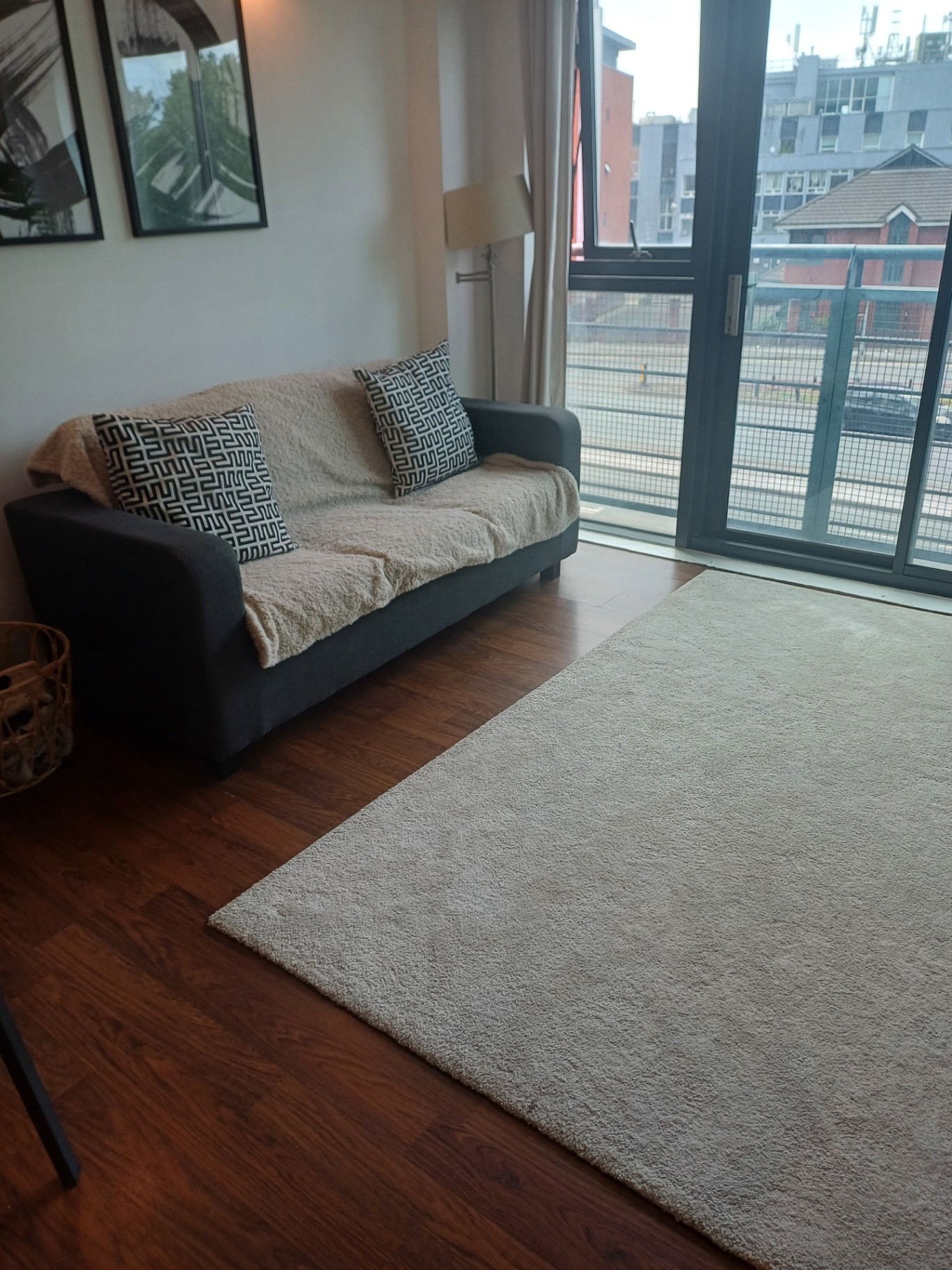 Living room with sofa and clean rug